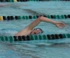 Κολυμβητής ελεύθερο επάγγελμα στην λωρίδα της πισίνας του ανταγωνισμού
